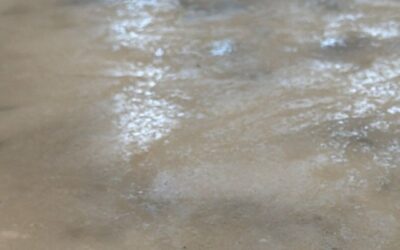 Case Study: Marble Countertop Restoration in Greensboro, GA